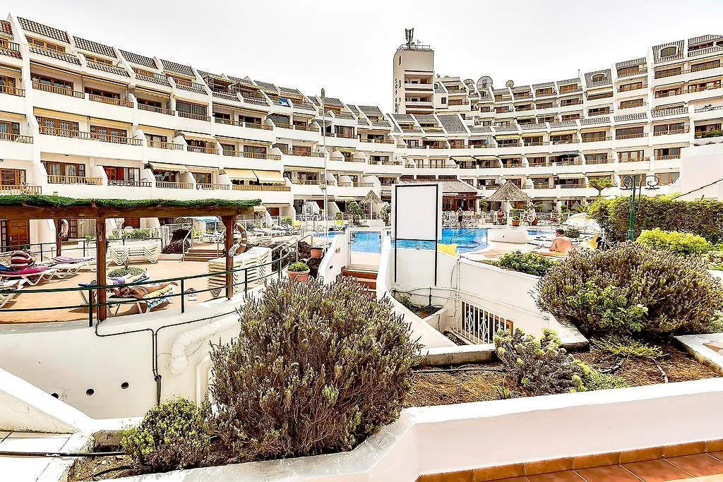 Apartment La Pinta 11Lge01 Costa Adeje  Costa Adeje (Tenerife)
